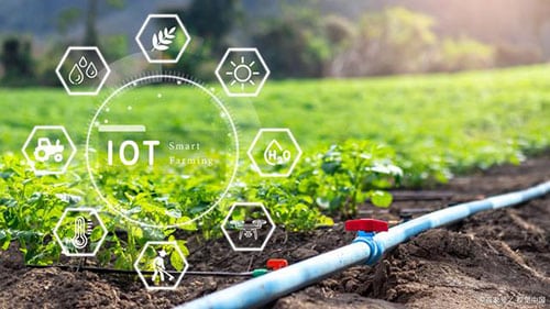 How can iot help the environment