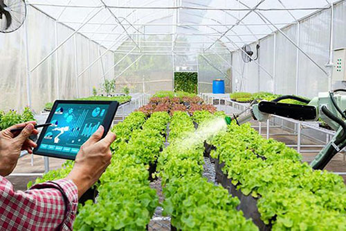 Smart agriculture sensors help agricultural development